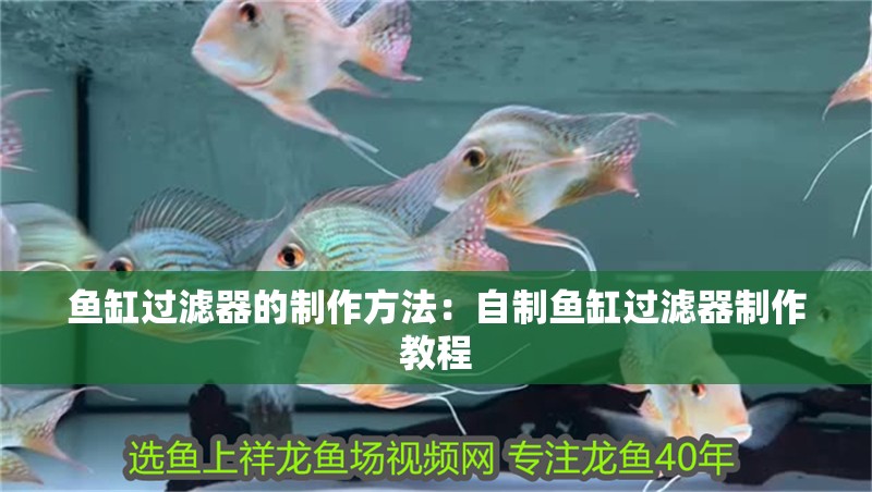魚缸過濾器的制作方法：自制魚缸過濾器制作教程 魚缸過濾器的制作方法：自制魚缸過濾器制作教程 魚缸百科