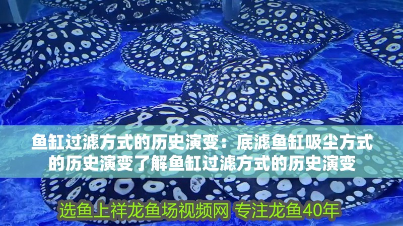 魚缸過濾方式的歷史演變：底濾魚缸吸塵方式的歷史演變了解魚缸過濾方式的歷史演變 魚缸過濾方式的歷史演變：底濾魚缸吸塵方式的歷史演變了解魚缸過濾方式的歷史演變 魚缸百科
