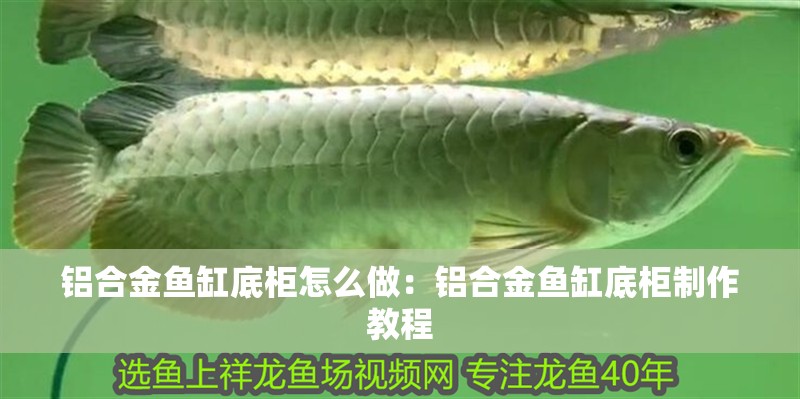 鋁合金魚缸底柜怎么做：鋁合金魚缸底柜制作教程