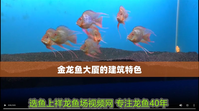 金龍魚(yú)大廈的建筑特色