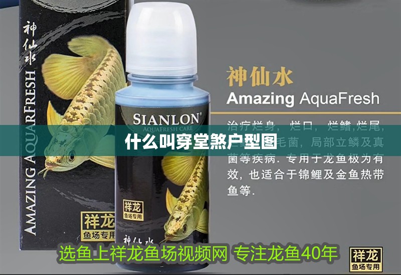 什么叫穿堂煞戶型圖 什么叫穿堂煞戶型圖 龍魚論壇