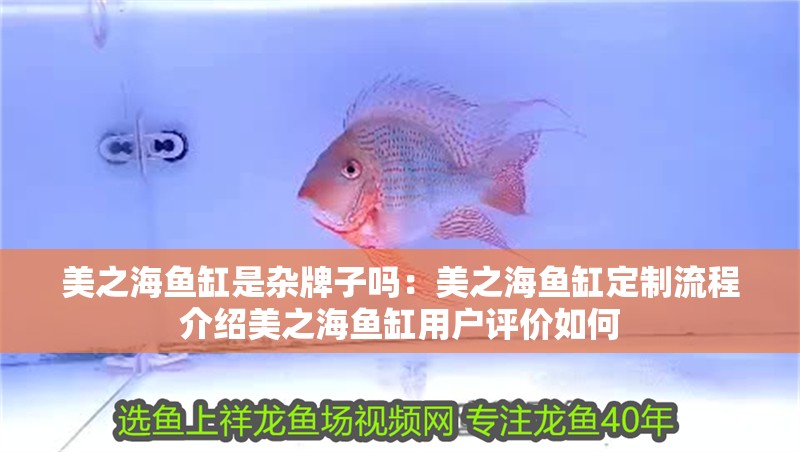 美之海魚缸是雜牌子嗎：美之海魚缸定制流程介紹美之海魚缸用戶評價如何