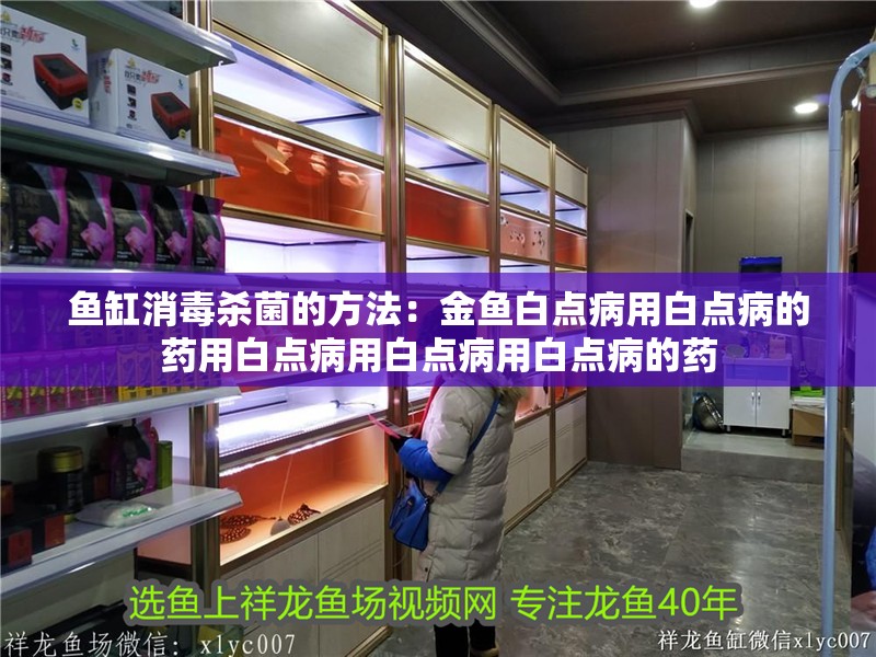 魚缸消毒殺菌的方法：金魚白點病用白點病的藥用白點病用白點病用白點病的藥 魚缸消毒殺菌的方法：金魚白點病用白點病的藥用白點病用白點病用白點病的藥 魚缸百科