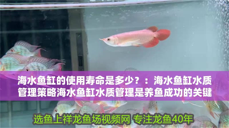 海水魚缸的使用壽命是多少？：海水魚缸水質(zhì)管理策略海水魚缸水質(zhì)管理是養(yǎng)魚成功的關(guān)鍵之一