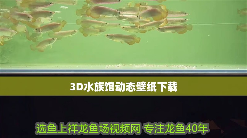 3D水族館動態(tài)壁紙下載