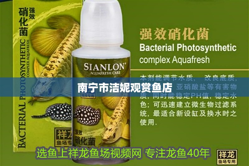 南寧市潔妮觀賞魚店 南寧市潔妮觀賞魚店 全國水族館企業名錄