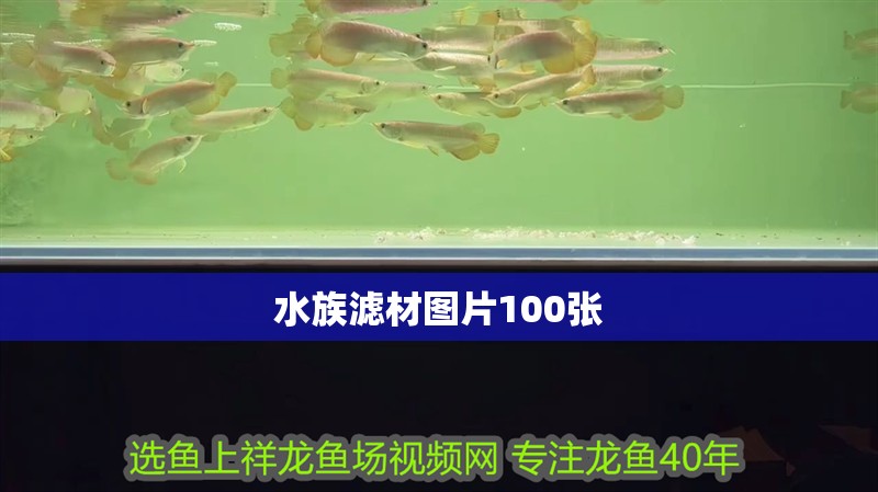 水族濾材圖片100張