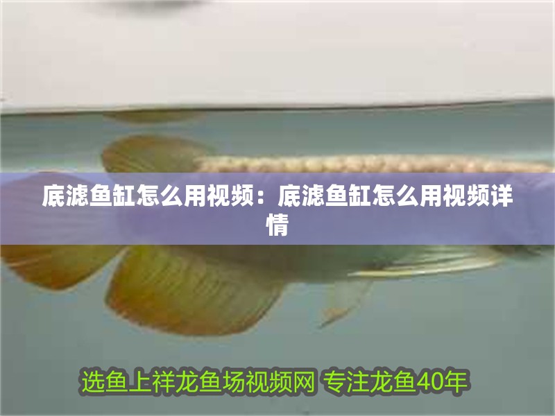 底濾魚缸怎么用視頻：底濾魚缸怎么用視頻詳情