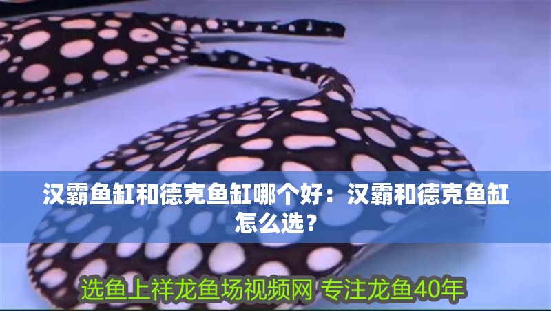 漢霸魚缸和德克魚缸哪個好：漢霸和德克魚缸怎么選？