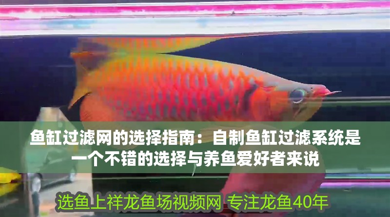 魚缸過濾網的選擇指南：自制魚缸過濾系統是一個不錯的選擇與養魚愛好者來說
