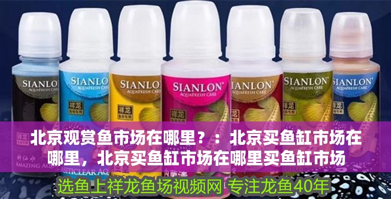 北京觀賞魚市場(chǎng)在哪里？：北京買魚缸市場(chǎng)在哪里，北京買魚缸市場(chǎng)在哪里買魚缸市場(chǎng)