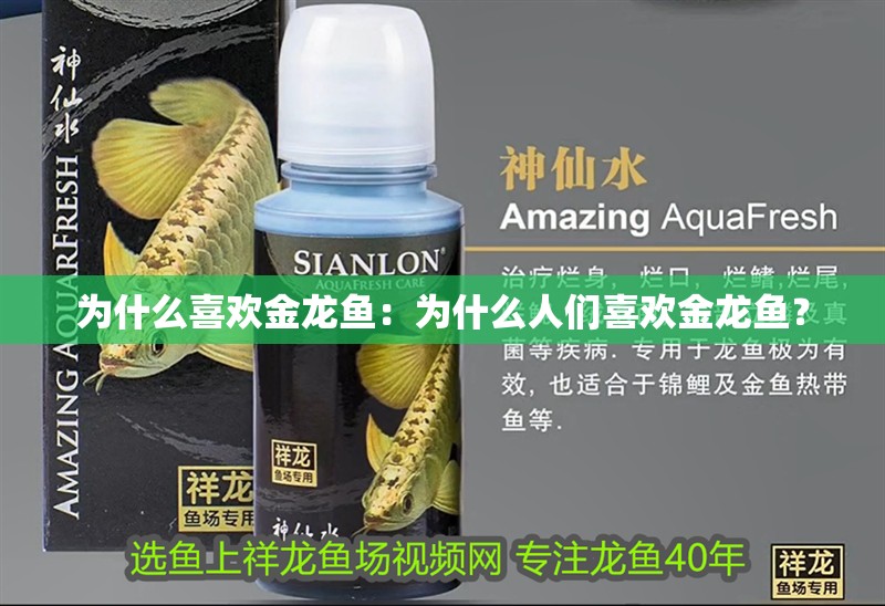 我的虎魚真菌感染了要怎么處理 為什么喜歡金龍魚:為什么人們喜歡金龍魚? 龍魚百科 為什么喜歡金龍魚:為什么人們喜歡金龍魚? 為什么喜歡金龍魚:為什么人們喜歡金龍魚? 龍魚百科