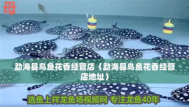 <strong><mark>勐海</mark></strong>縣鳥魚花香經營店（<strong><mark>勐海</mark></strong>縣鳥魚花香經營店地址）
