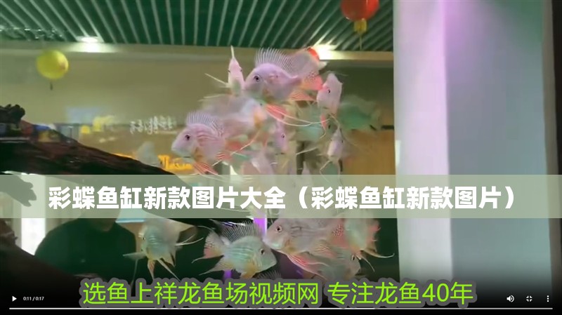 彩蝶魚缸新款圖片大全（彩蝶魚缸新款圖片）