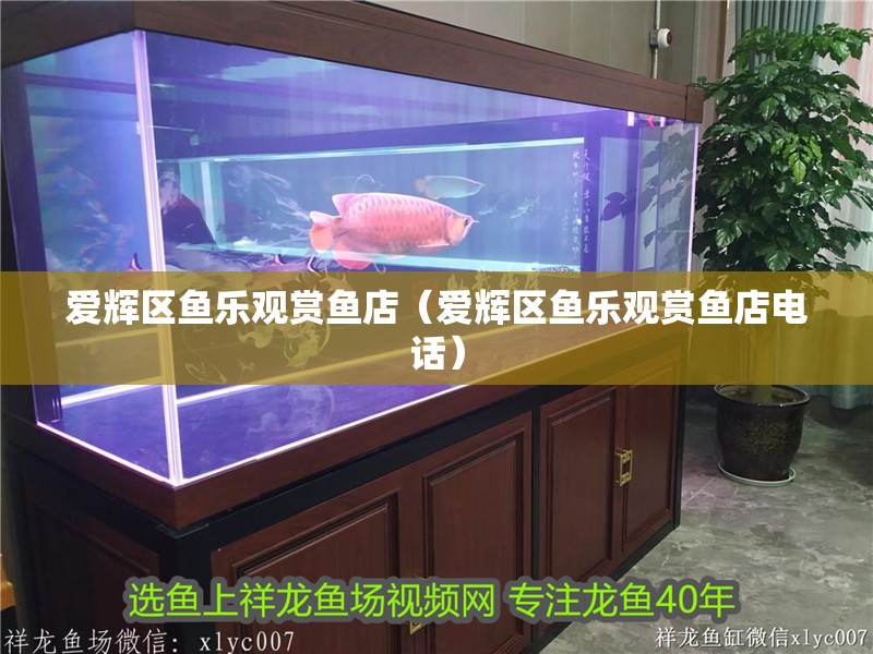 愛輝區魚樂觀賞魚店（愛輝區魚樂觀賞魚店電話）