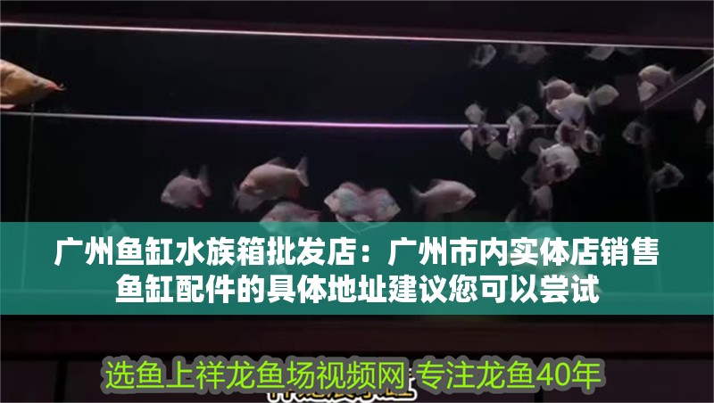 廣州魚缸水族箱批發(fā)店：廣州市內(nèi)實(shí)體店銷售魚缸配件的具體地址建議您可以嘗試