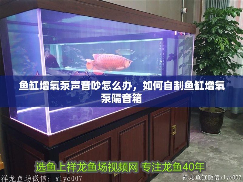 魚缸增氧泵聲音吵怎么辦，如何自制魚缸增氧泵隔音箱