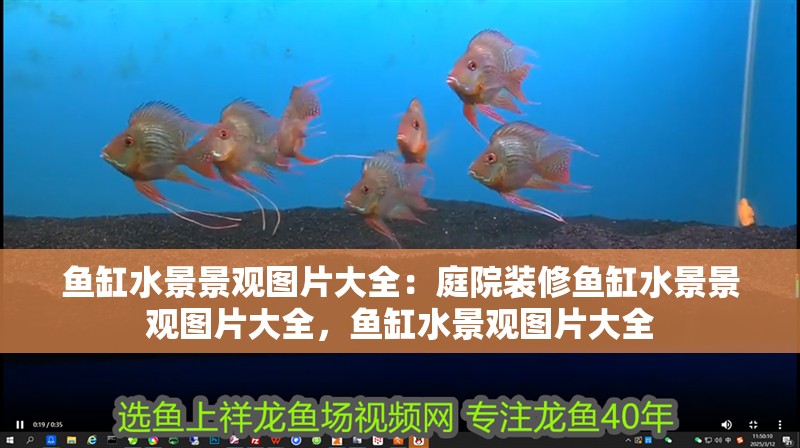 魚缸水景景觀圖片大全：庭院裝修魚缸水景景觀圖片大全，魚缸水景觀圖片大全