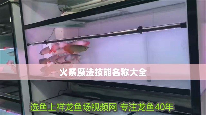 火系魔法技能名稱大全