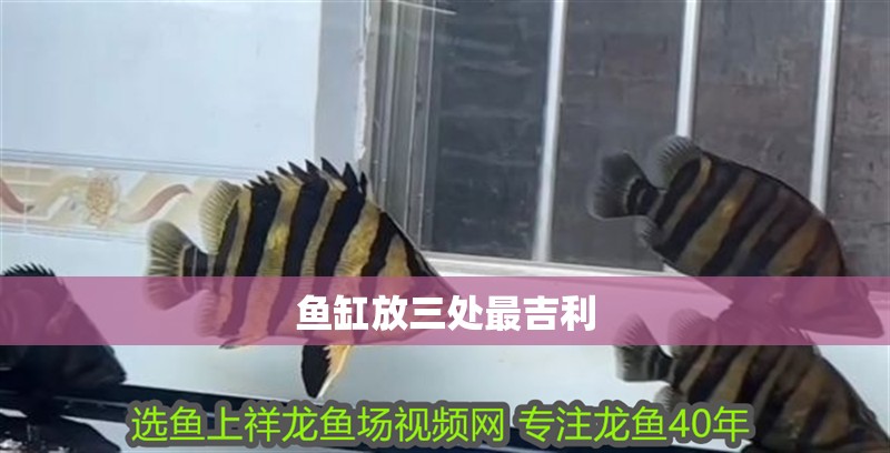 魚缸放三處最吉利