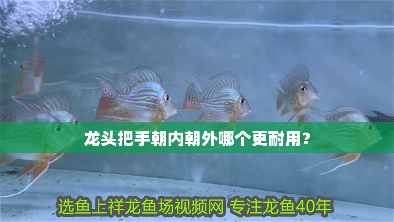 魚缸造景先放沙還是先放水(魚缸造景先鋪沙還是先放石頭) 龍頭把手朝內朝外哪個更耐用? 龍魚論壇 龍頭把手朝內朝外哪個更耐用? 龍頭把手朝內朝外哪個更耐用? 龍魚論壇