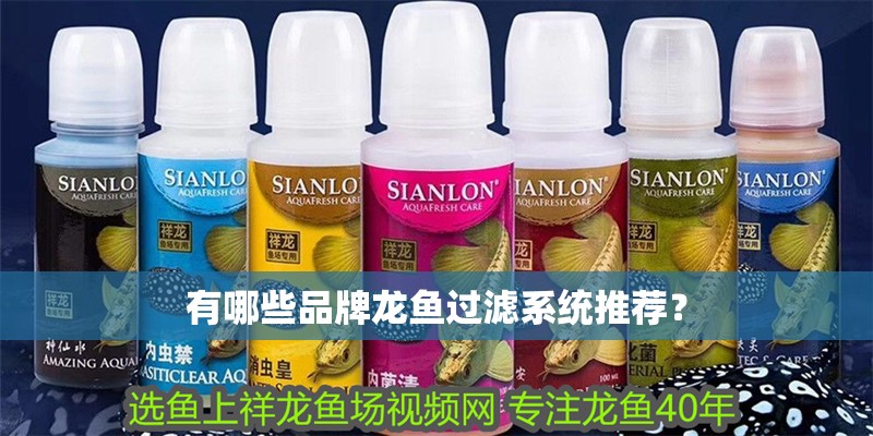 有哪些品牌龍魚過濾系統推薦？
