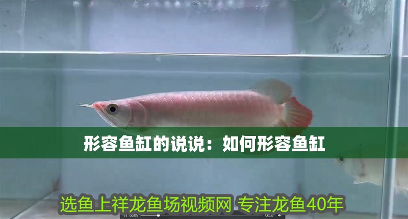 形容魚缸的說說：如何形容魚缸