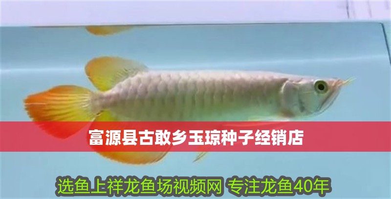 富源縣古敢鄉(xiāng)玉瓊種子經(jīng)銷店