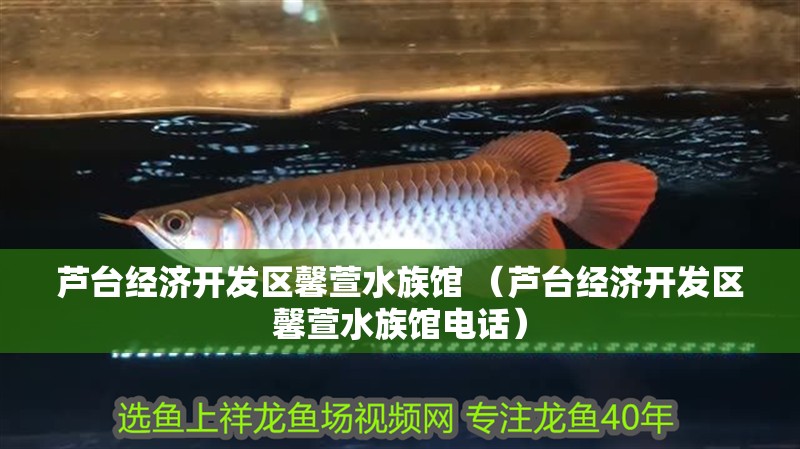 蘆臺經濟開發區馨萱水族館 （蘆臺經濟開發區馨萱水族館電話）
