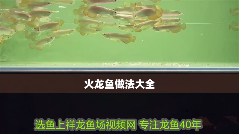 火龍魚做法大全
