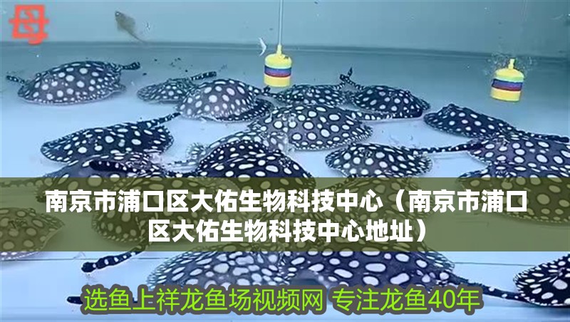 南京市浦口區大佑生物科技中心（南京市浦口區大佑生物科技中心地址）