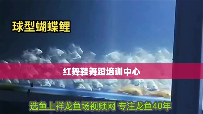紅舞鞋舞蹈培訓中心