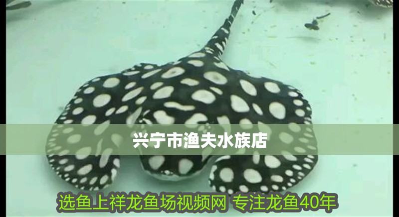 興寧市漁夫水族店