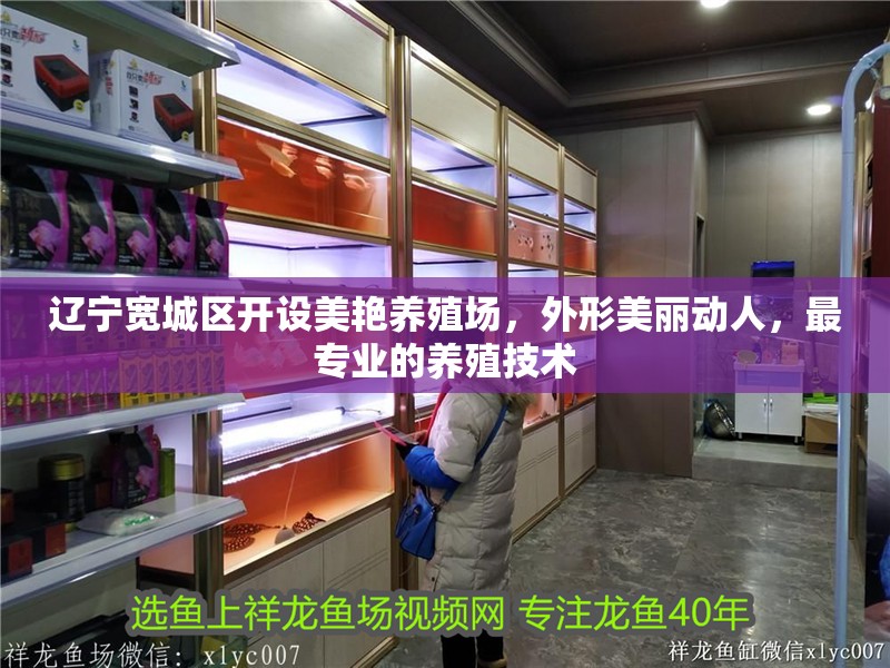 遼寧寬城區(qū)開設(shè)美艷養(yǎng)殖場，外形美麗動人，最專業(yè)的養(yǎng)殖技術(shù)