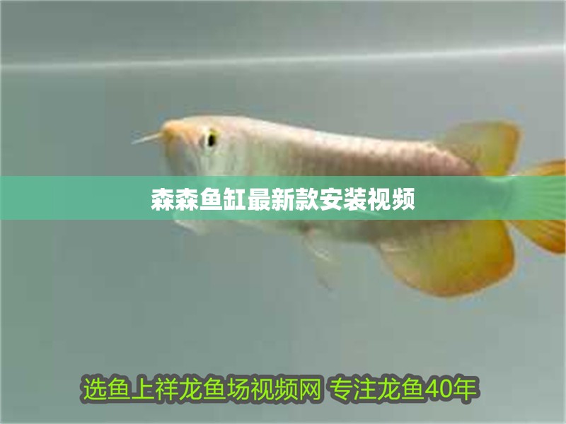 森森魚缸最新款安裝視頻 森森魚缸最新款安裝視頻 龍魚論壇