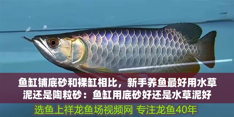 魚缸鋪底砂和裸缸相比，新手養(yǎng)魚最好用水草泥還是陶粒砂：魚缸用底砂好還是水草泥好