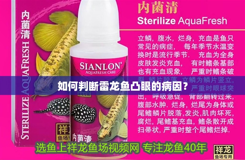 如何判斷雷龍魚凸眼的病因？ 如何判斷雷龍魚凸眼的病因？ 龍魚論壇