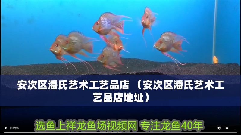 安次區潘氏藝術工藝品店 （安次區潘氏藝術工藝品店地址）