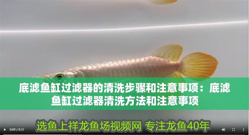 底濾魚缸過濾器的清洗步驟和注意事項：底濾魚缸過濾器清洗方法和注意事項