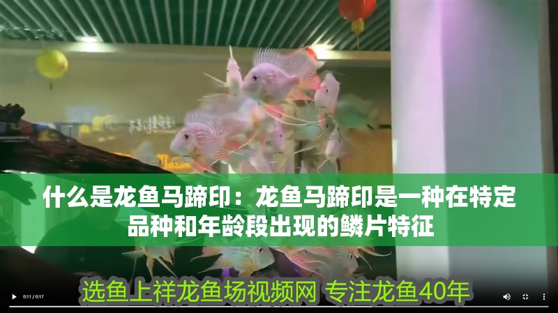 什么是龍魚馬蹄印：龍魚馬蹄印是一種在特定品種和年齡段出現的鱗片特征