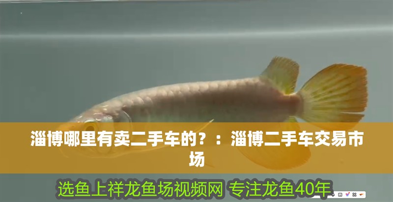 淄博哪里有賣(mài)二手車(chē)的？：淄博二手車(chē)交易市場(chǎng)