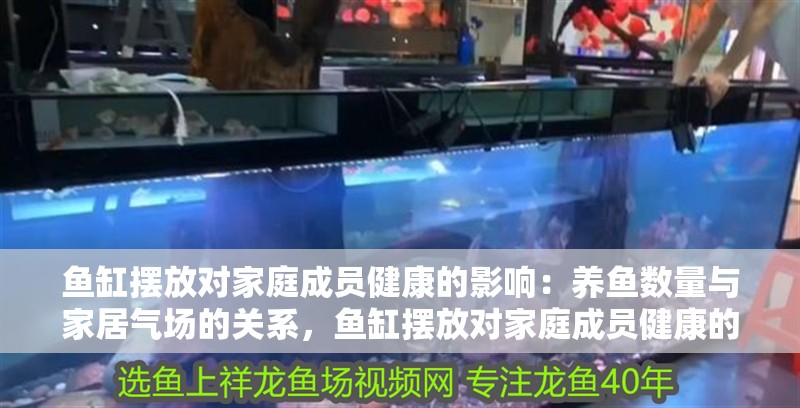 魚缸擺放對家庭成員健康的影響：養(yǎng)魚數(shù)量與家居氣場的關系，魚缸擺放對家庭成員健康的影響