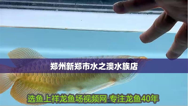 鄭州新鄭市水之澳水族店