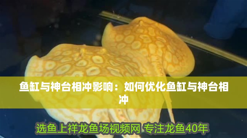 魚缸與神臺相沖影響：如何優化魚缸與神臺相沖