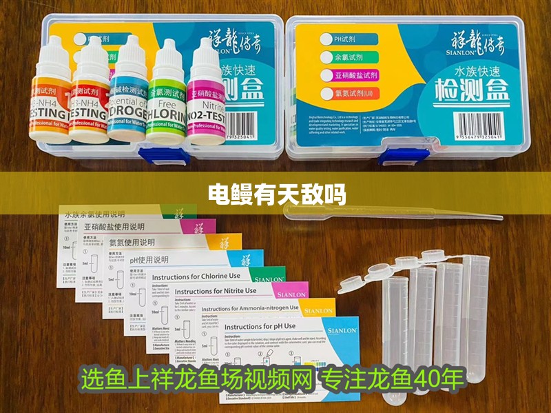 魚缸用增氧泵價格是多少:魚缸增氧機(jī)-xtrac增氧機(jī)-xtrac增氧機(jī) 電鰻有天敵嗎 龍魚論壇 電鰻有天敵嗎 電鰻有天敵嗎 龍魚論壇