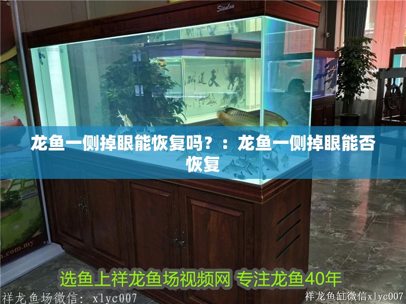 龍魚一側掉眼能恢復嗎？：龍魚一側掉眼能否恢復 龍魚一側掉眼能恢復嗎？：龍魚一側掉眼能否恢復 龍魚百科