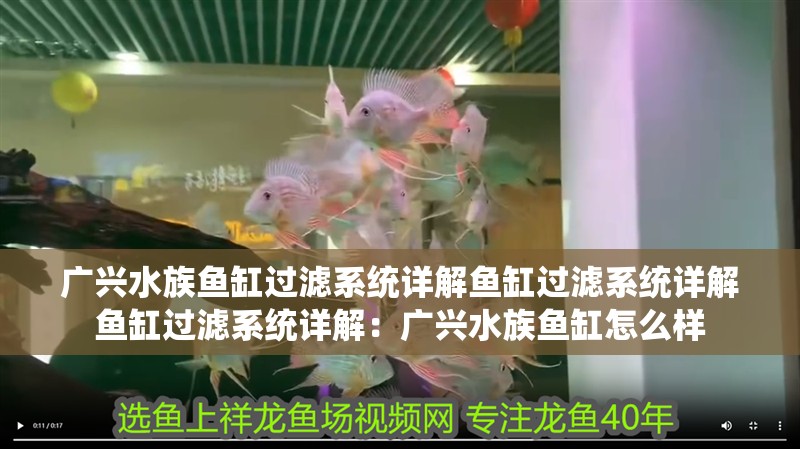 廣興水族魚缸過濾系統(tǒng)詳解魚缸過濾系統(tǒng)詳解魚缸過濾系統(tǒng)詳解：廣興水族魚缸怎么樣