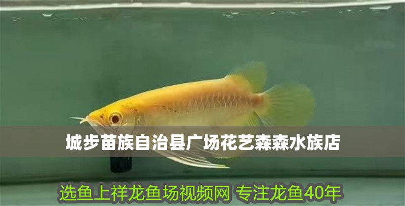 城步苗族自治縣廣場花藝森森水族店