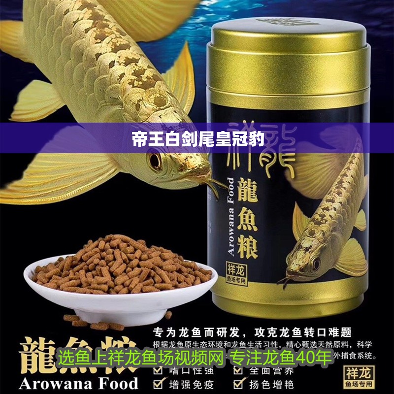 帝王白劍尾皇冠豹