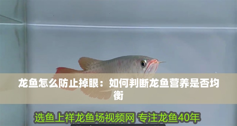 龍魚怎么防止掉眼：如何判斷龍魚營養是否均衡